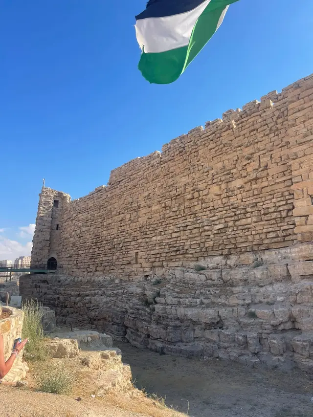 أسوار قلعة الكرك